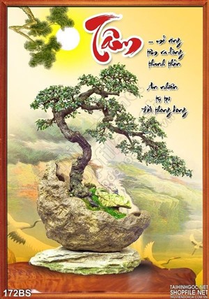Chậu bonsai kiểng tạo kiểu chữ tâm