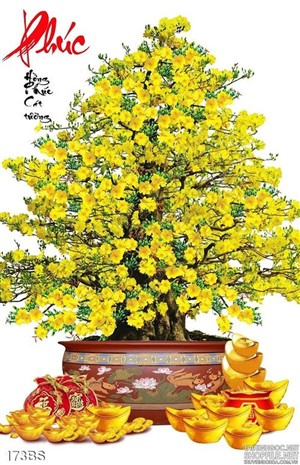 Chậu bonsai hoa mai năm 2020 đẹp