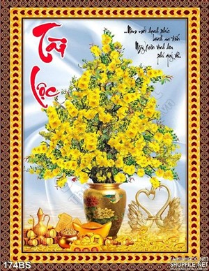 Chậu bonsai hoa mai tài lộc năm 2020