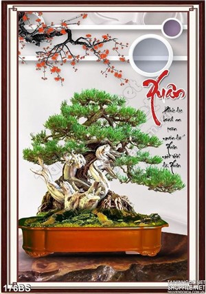 Chậu bonsai mùa xuân nghệ thuật
