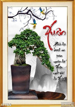 Chậu bonsai ngày xuân đẹp ấn tượng