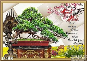 Chậu bonsai kiểng trang trí 2020