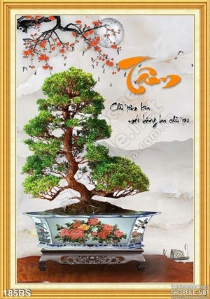 Chậu bonsai dáng đứng chữ tâm đẹp