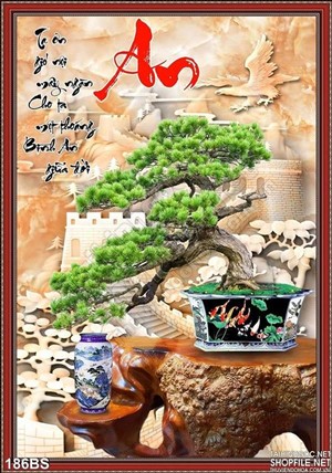 Chậu bonsai cây khế và chậu cá chép