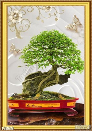 Chậu bonsai và hòn lăng bộ đẹp