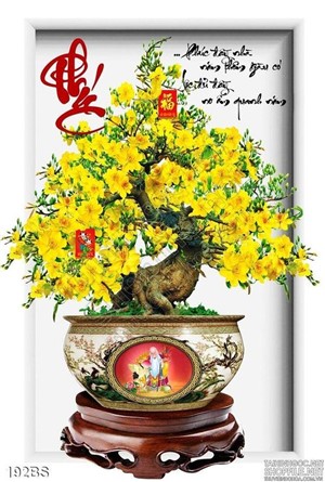 Chậu bonsai mini và hòn lăng bộ