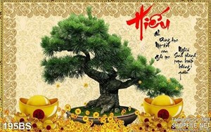 Chậu bonsai chữ hiếu cây khế
