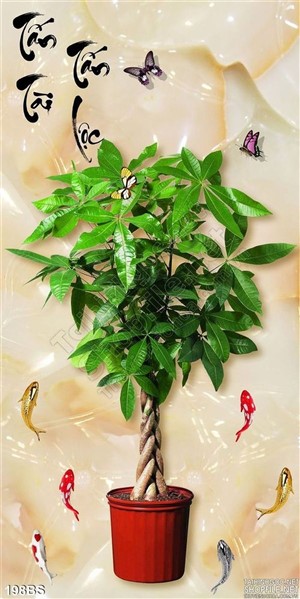 Chậu bonsai mini để bàn đẹp
