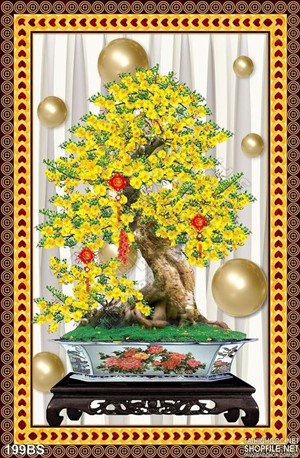 Chậu bonsai hoa mai trưng ngày tết đẹp