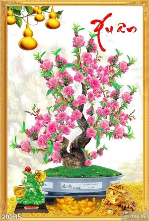 Chậu bonsai hoa mai và những cụng vàng
