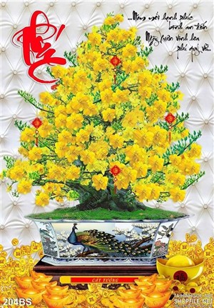 Chậu bonsai hoa mai chữ phúc