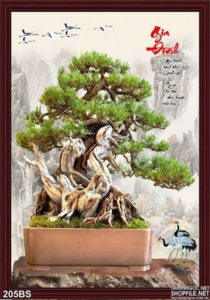 Chậu bonsai nghệ thuật đẹp nhất 2020