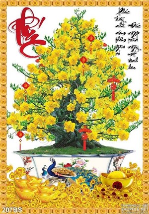 Chậu bonsai hoa mai năm 2020 ấn tượng