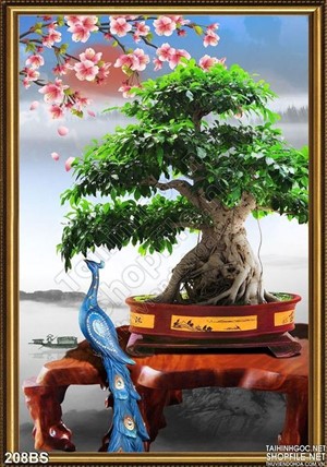 Chậu bonsai cây khế và con chim công