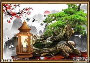 Chậu bonsai gốc lớn và cái đèn dầu