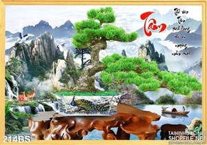 Chậu bonsai phong thủy hữu tình