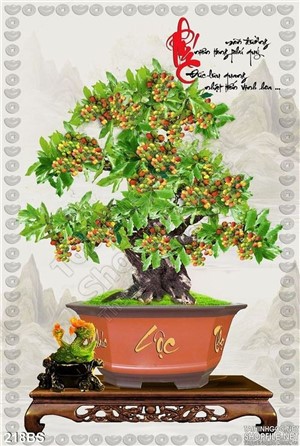 Chậu bonsai cây sung ra quả ấn tượng