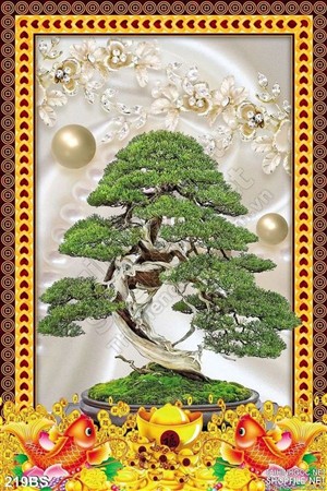 Chậu bonsai khổ dọc cá chép