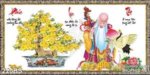 Chậu bonsai hoa mai và ông thọ