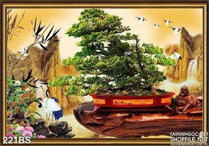 Chậu bonsai lớn đẹp