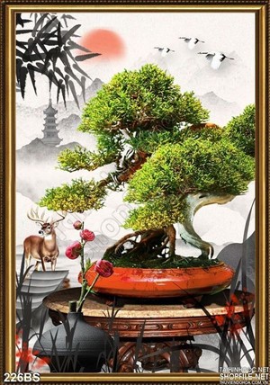 Tranh bonsai cây khế và cái chậu đỏ
