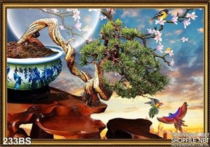 Tranh bonsai bầu trời đẹp lung linh