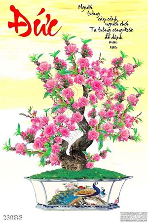 Tranh bonsai hoa đào chữ đức đầu năm