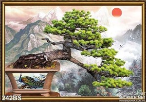 Tranh bonsai  cây thông vững trãi đẹp