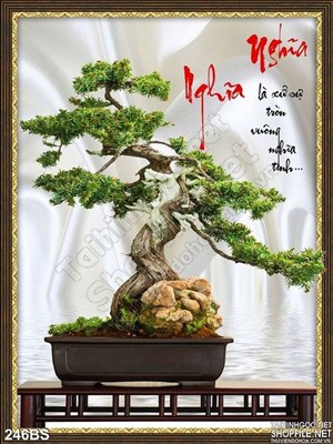 Tranh bonsai nhật bản tạo kiểu độc đáo