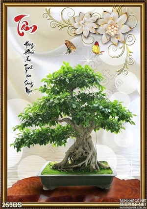 Tranh bonsai japan tạo kiểu ấn tượng