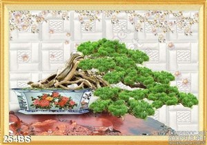 Chậu bonsai xòa tán nghệ thuật
