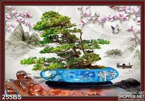 Chậu bonsai nhật bản độc lạ 2020
