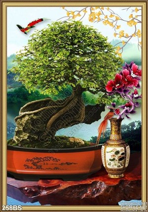 Chậu bonsai và hòn lặng bộ nghệ thuật