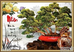Chậu bonsai  chữ nhẫn nghệ thuật