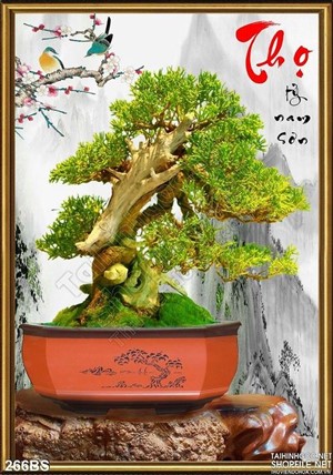 Chậu bonsai decor wall nghệ thuật