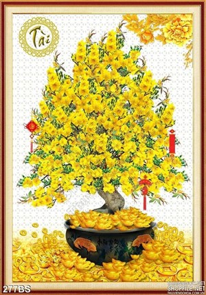 Chậu bonsai hoa mai phát tài