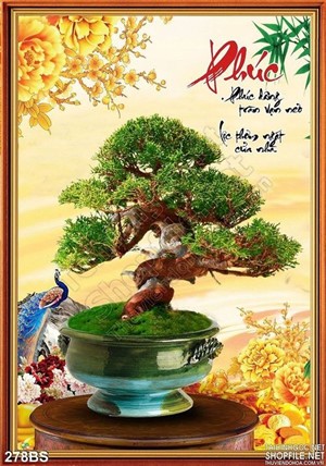 Chậu bonsai nghệ thuật nhật bản chữ phúc