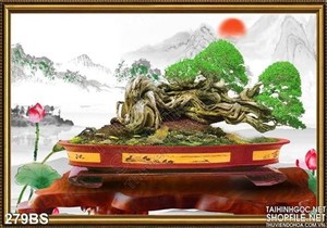 Chậu bonsai lớn và núi non