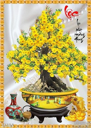 Chậu bonsai hoa mai  và bình hoa cổ