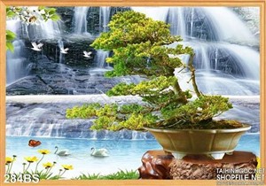 Chậu bonsai kiểng ấn tượng psd