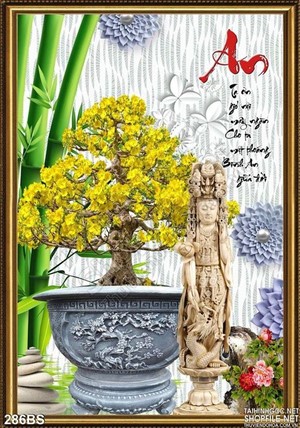 Chậu bonsai hoa mai ngày tết bình an