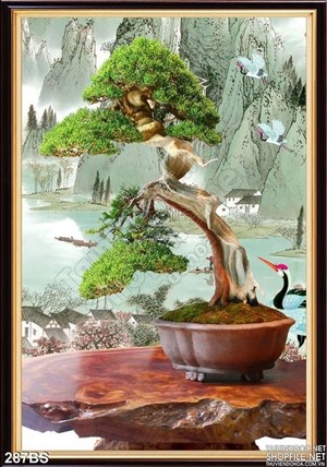Chậu bonsai độc đáo hiêng ngang