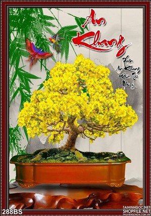 Chậu bonsai hoa mai an khang thịnh vượng 2020