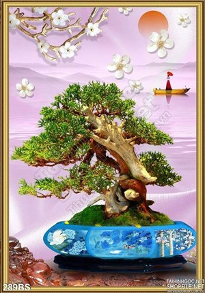 Chậu bonsai ấn tượng in gạch đẹp