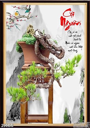 Chậu bonsai cây khế độc đáo cội nguồn