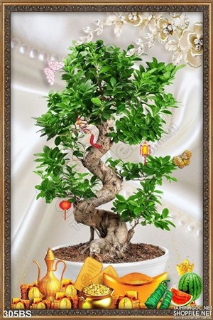 Tranh bonsai cây khé và đồng tiền vàng