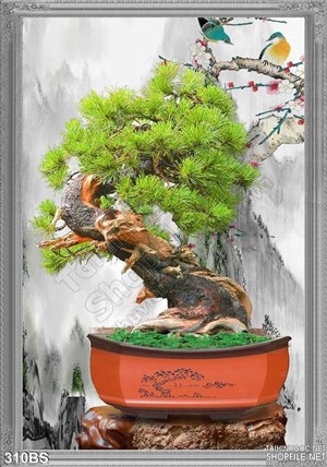Tranh bonsai wall nghệ thuật psd