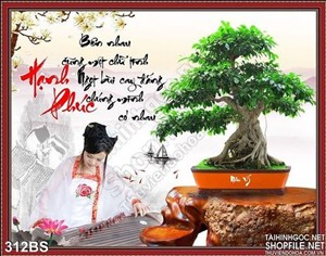 Tranh bonsai và cô gái