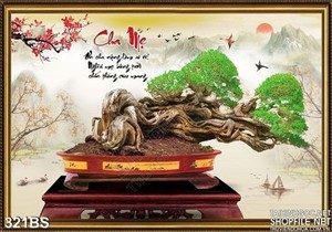 Chậu bonsai gốc lớn độc đáo