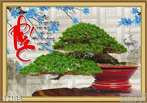 Chậu bonsai lớn là chữ phúc đẹp